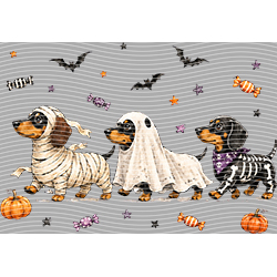 Halloween-WS 12006